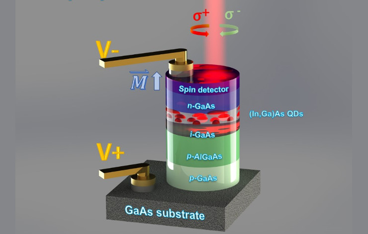 Une photodiode à spin pour la transmission optique d’une information portée par des spins électroniques